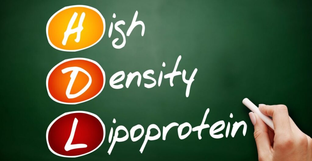 High Density Lipoprotein